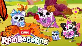 Legendary Leaf Pile  30 mins of Season 5 Rainbocorns  Cartoons for Kids  ZURU