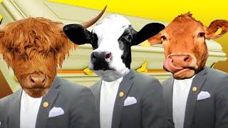 Funny Cows - Coffin Dance Song *PART 2* COVER