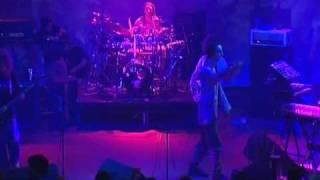 Ozric Tentacles - 2002 Pongmasters Ball Live - Erpland