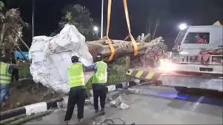 proses menanam pohon bodiabar di bandara IGUSTI NGURAHRAI BALI