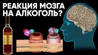 Мы Выяснили Как Мозг Реагирует На Алкоголь. Пить Больше Не Хочется Вам Тоже Не Захочется