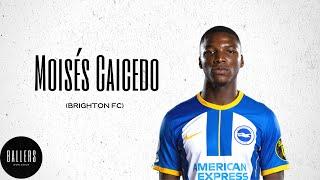 Moises Caicedo  skills passes and tackles  Brighton and Hove Albion 2022