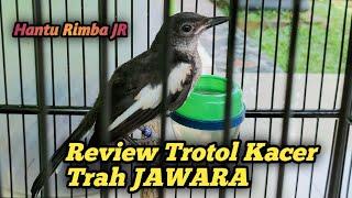 REVIEW TROTOL KACER TRAH JAWARA