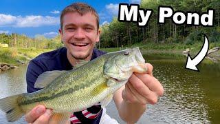 Stocking Largemouth Bass into My Pond