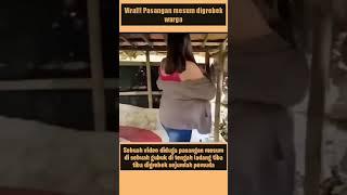 viral#pasangan mesum di grebek