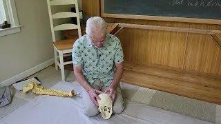 Tap into a Deeper Potential cranial suture vertebral adjustments