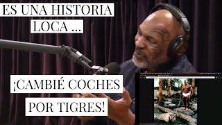 ¡Mike Tyson explica por qué tiene tigres -Joe Rogan