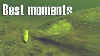 Best fishing moments underwater compilation