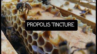 What is Propolis Tincture?