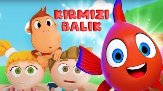 Kırmızı Balık ve Daha Fazlası Tüm Kukuli Şarkıları - 30 Dakika Türkçe Çocuk Şarkıları