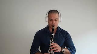 Michael Jackson Heal The World   COVER Luís Lopes Clarinet