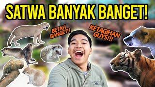 BATU SECRET ZOO PART 1  JAWA TIMUR PARK 2  GAK ABIS-ABIS HEWANNYA BANYAK DAN KOCAK BANGET