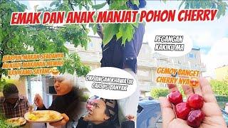 Emak dan anak sama kelakuannyamanjat pohon cherry