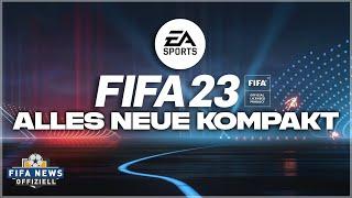 Alle FIFA 23 News KOMPAKT Release mit Uhrzeit Alle Modi & PC Next Gen