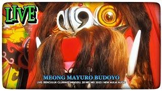 LIVE  Meong Mayuro Budoyo MMB  New Aulia Audio  Benculuk