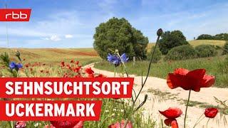 30 Dinge warum die Uckermark ein Sehnsuchtsort ist  Brandenburg erleben  Doku