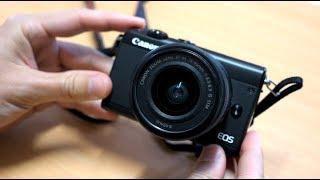 Canon M100 - Review and Sample Photos