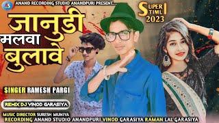 ramesh pargi जानुडी मलवा बुलावे  New Timli Song Dhamaka 2023 @Anandrecodingstudio