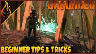 Grounded The Game Beginner Tips And Tricks Part 1