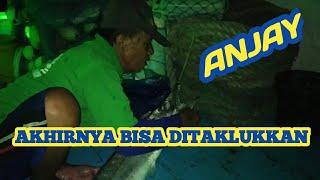 Mancing ikan layur dapetnya barakuda