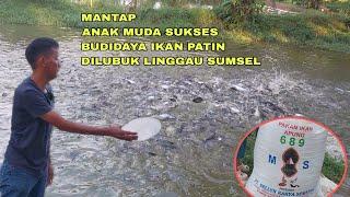 ANAK MUDA SUKSES BUDIDAYA IKAN PATIN DILUBUK LINGGAU SUMSEL