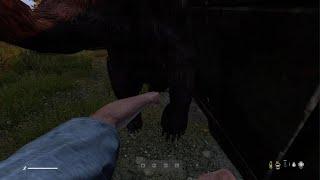 Fist fighting a bear in DayZ and WINNING??