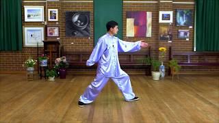 Tai Chi 40 Form Step by Step Instructions Paragraph 5