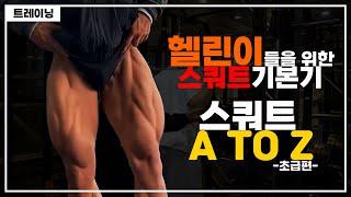 스쿼트 이 영상만 보고 따라하세요 초급편