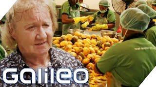 70 Mio.€Jahr - Der Bio-Obst Millionär  Galileo  ProSieben