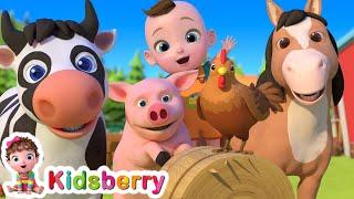 Old MacDonald Had A Farm  Kidsberry Nursery Rhymes & Baby Songs