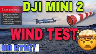 DJI MINI 2 STRONG WIND TEST