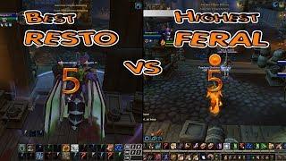 Resto Druid vs Feral Split Screen  ARENA BfA 8.2