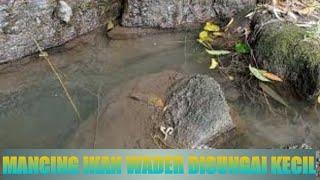 MANCING IKAN WADER DI SUNGAI KECIL micro fishing   PART10 @vibajefri