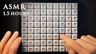 ASMR Mechanical Keyboard Switch Tester  1.5 hrs Soft Spoken