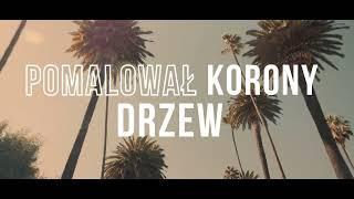 PAWEL TOKARZ - Sloneczna Kalifornia  Lyric Video  cover Happy End