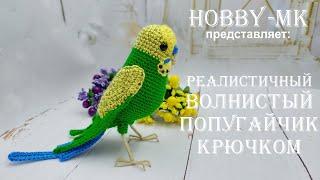 Волнистый попугай крючком Кеша ч.2 авторский МК Светланы Кононенко