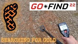 Gold prospecting with a cheap metal detector  Minelab Go Find 22 