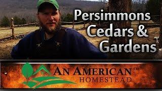 Persimmons Cedars and Gardens - An American Homestead
