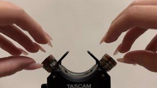 ASMR Gentle and Sensitive Tascam Mic Tapping and Scratching with Nails