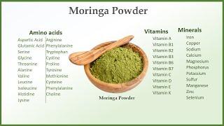 Moringa Powder  Moringa ke fayde  Moringa Weight Loss  Moringa Oleifera