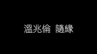 溫兆倫   隨緣 無損音樂FLAC 歌詞LYRICS 純享