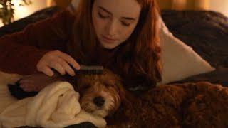 ASMR Sleepy Puppy Pamper whispered rambling