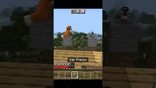 Fox Vs Cat  Which Will I Choose one #shorts #minecraft