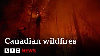 Canadian wildfires Yellowknife evacuates 20000 people - BBC News
