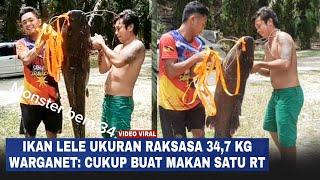 Viral Ikan Lele Ukuran Raksasa 347 Kg Warganet Cukup Buat Makan Satu RT