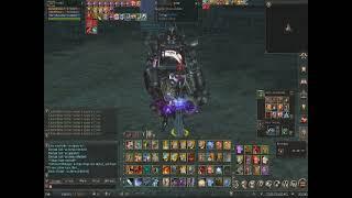 Lineage 2 Lightning  L2-LIGHTNING SERVER Trolling masterclass 3