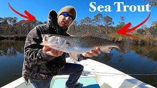 My FAVORITE Way to Catch SPECKLED TROUT SPOTTED SEA TROUT