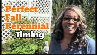 Fall Garden Clearing and Perennial Plant 🪴Placements #provenwinnerdirect #fallgarden #perennials