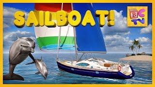 Learn About Sailboats for Children  Educational Video for Kids by Brain Candy TV