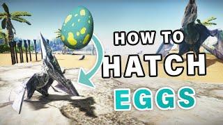 How to Hatch Eggs ► Ark Survival Evolved